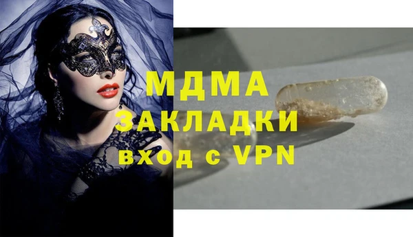 индика Дмитриев
