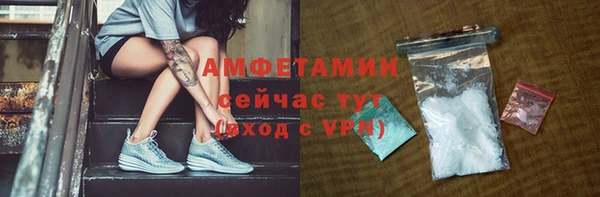 индика Дмитриев