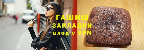 индика Дмитриев