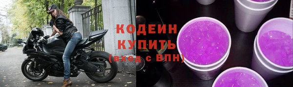 индика Дмитриев