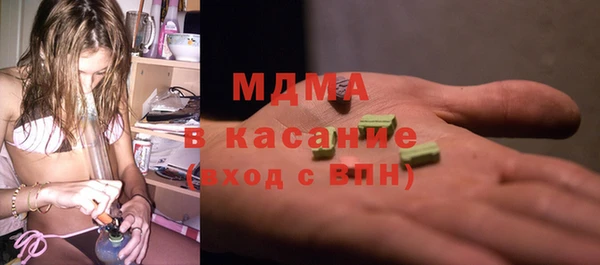 индика Дмитриев