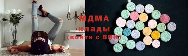 индика Дмитриев