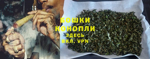 индика Дмитриев