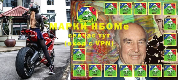 индика Дмитриев