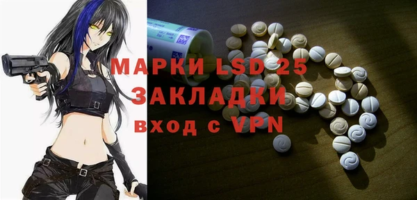 индика Дмитриев