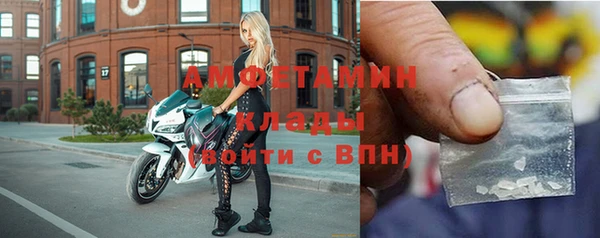 индика Дмитриев