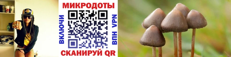 Псилоцибиновые грибы Cubensis где купить Медногорск