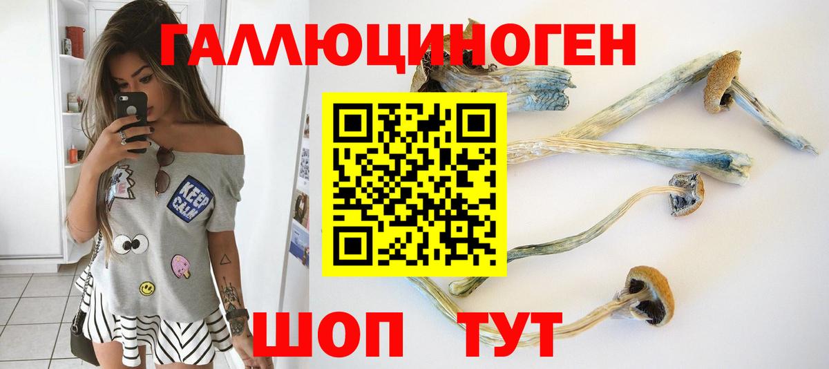 Галлюциногенные грибы GOLDEN TEACHER  Галлюциногенные грибы ЛСД  Медногорск  Вход с VPN 